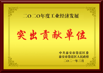 突出貢獻(xiàn).jpg 突出貢獻(xiàn).jpg